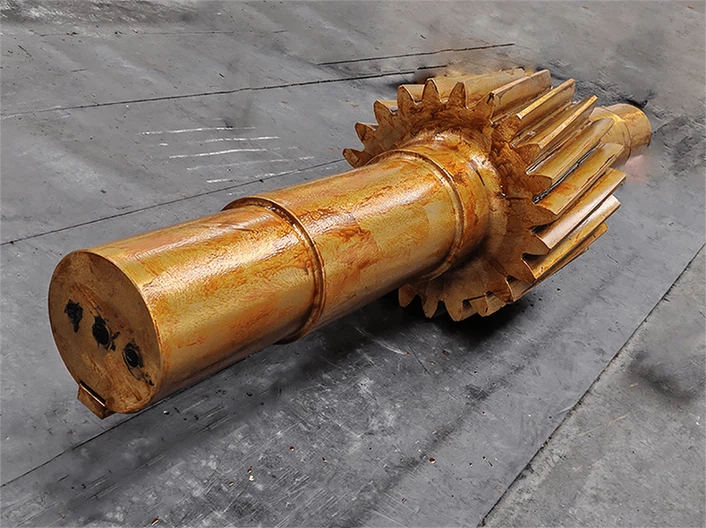 IMG20250222102956new IMG20250222102956new